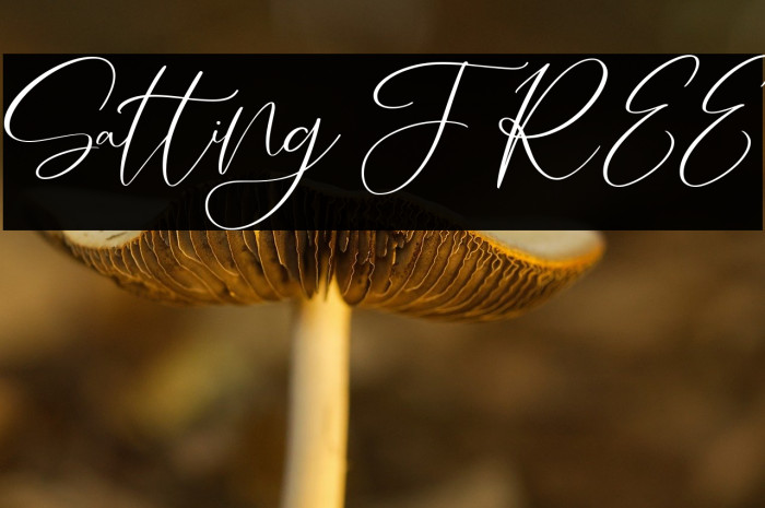 Salting FREE Example 3