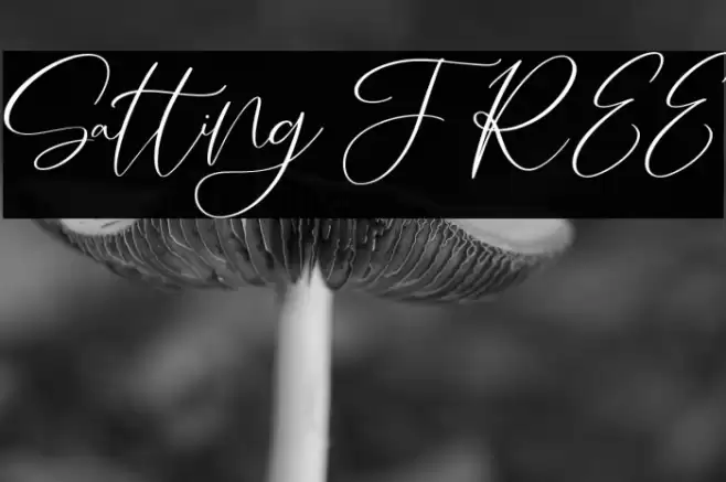 Salting FREE Font examples