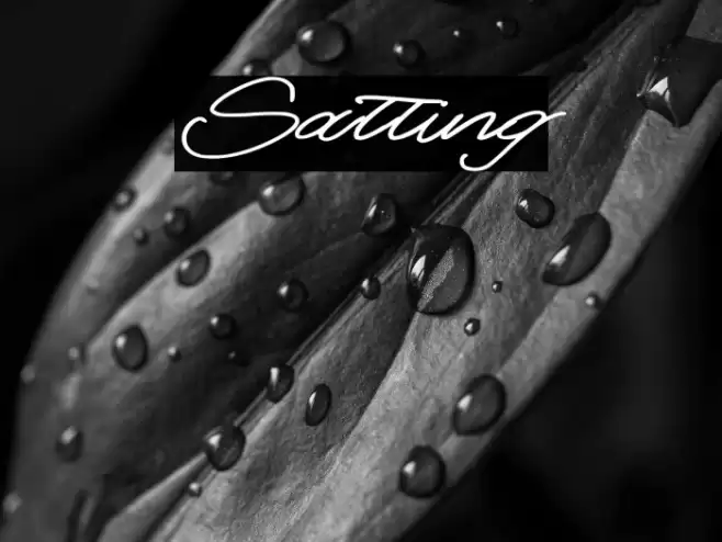 Salting Font examples