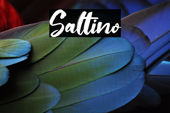 Saltino Font examples
