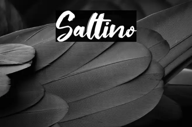 Saltino Fuentes examples