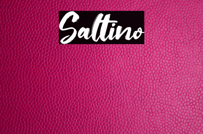Saltino Font examples