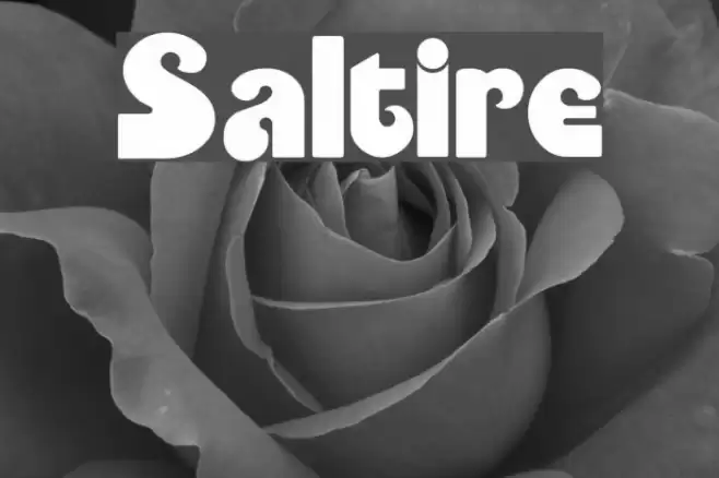 Saltire Font examples