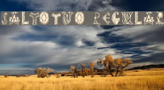 SaltoTwo Regular Font examples
