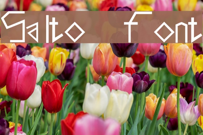 Salto Font examples