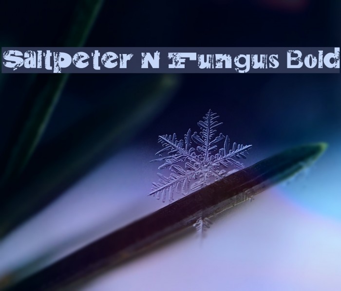 Saltpeter N Fungus Bold Example 2