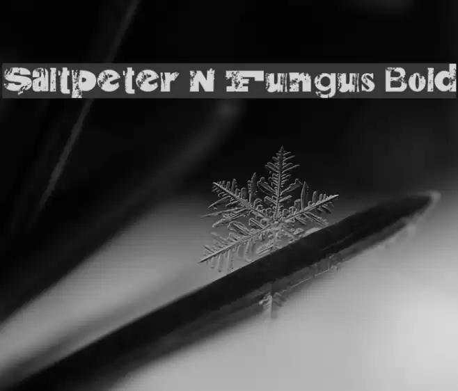 Saltpeter N Fungus Bold Font examples