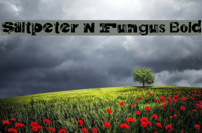 Saltpeter N Fungus Bold Example 3