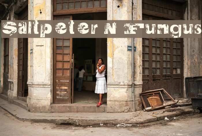 Saltpeter N Fungus Font examples