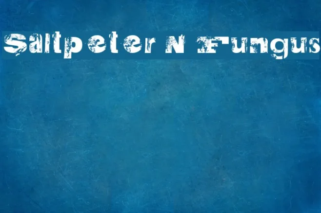 Saltpeter N Fungus Example 3