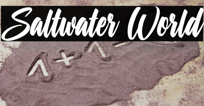 Saltwater World Example 1