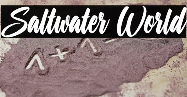 Saltwater World Example 1