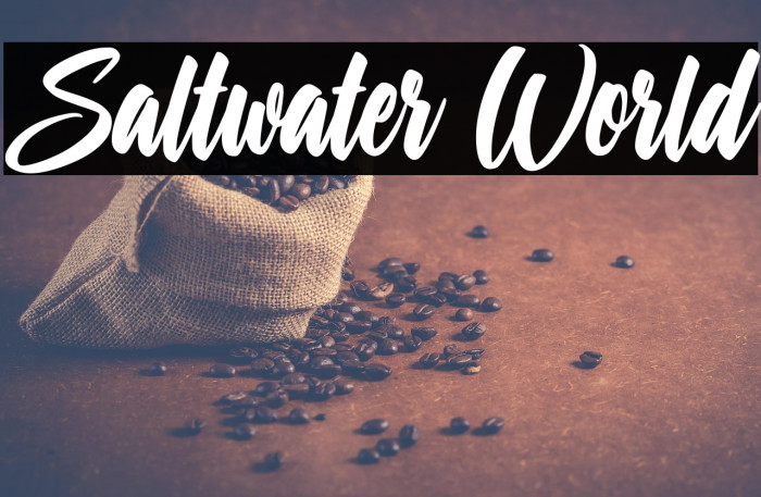 Saltwater World Example 2