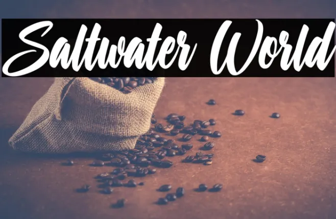 Saltwater World Example 2