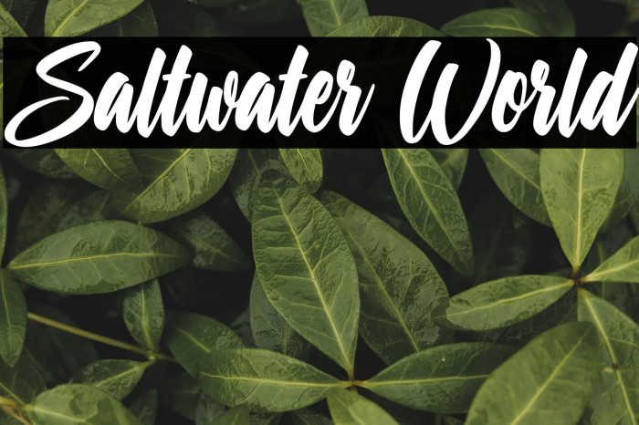 Saltwater World Example 3