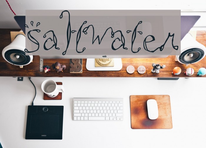 Saltwater Font examples
