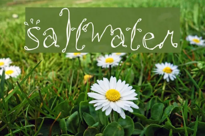 Saltwater Example 2