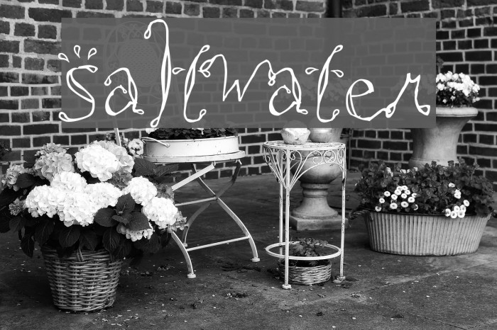 Saltwater Font examples