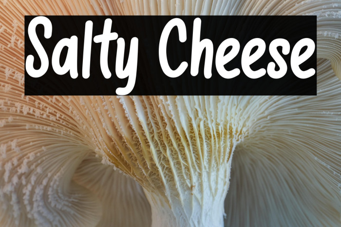 Salty Cheese Example 1