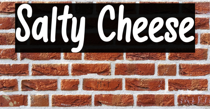 Salty Cheese Example 3