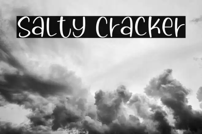 Salty Cracker خط examples