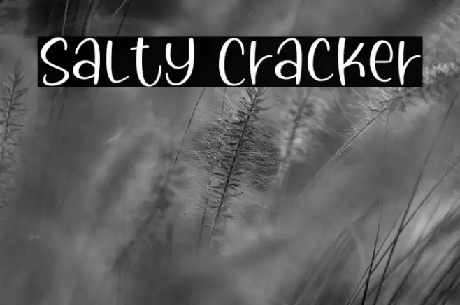 Salty Cracker خط examples