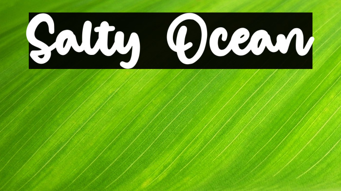 Salty Ocean Example 2