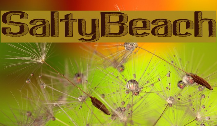 SaltyBeach Example 1