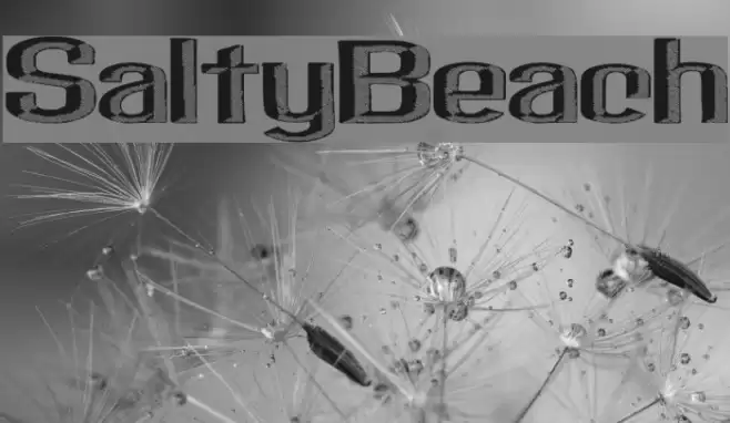 SaltyBeach Font examples