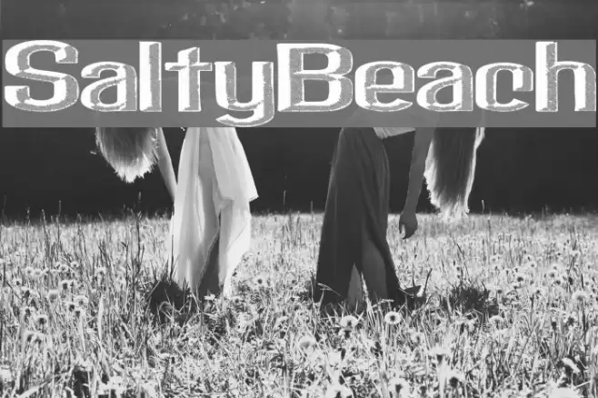 SaltyBeach Font examples