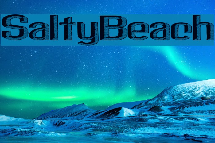 SaltyBeach Example 3