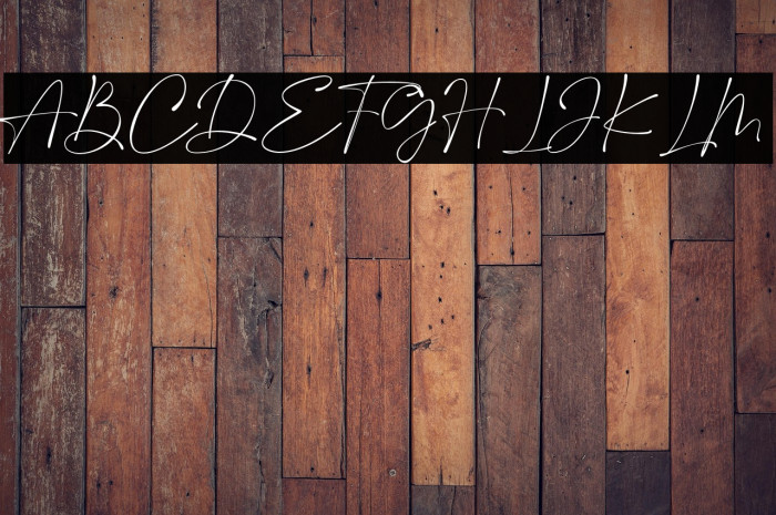 SaltyFeathersDEMO-Regular Example 1