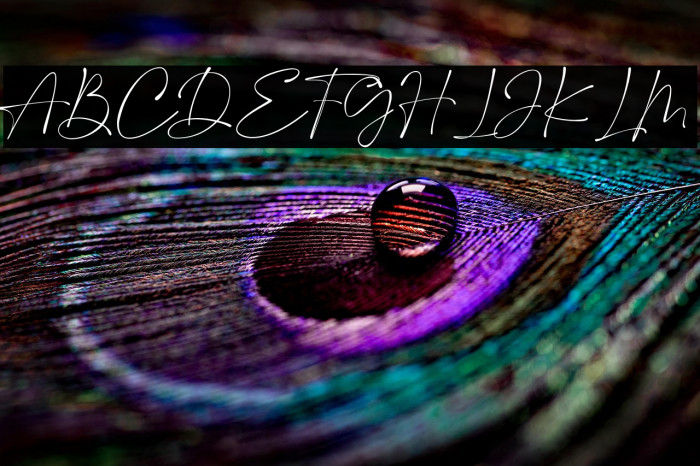 SaltyFeathersDEMO-Regular Example 2