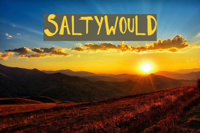 SaltyWould Font examples