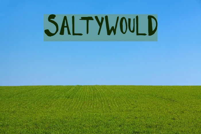 SaltyWould Font examples