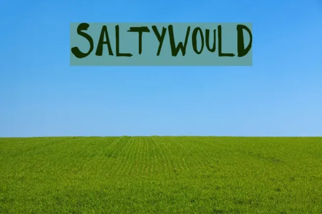SaltyWould Example 3