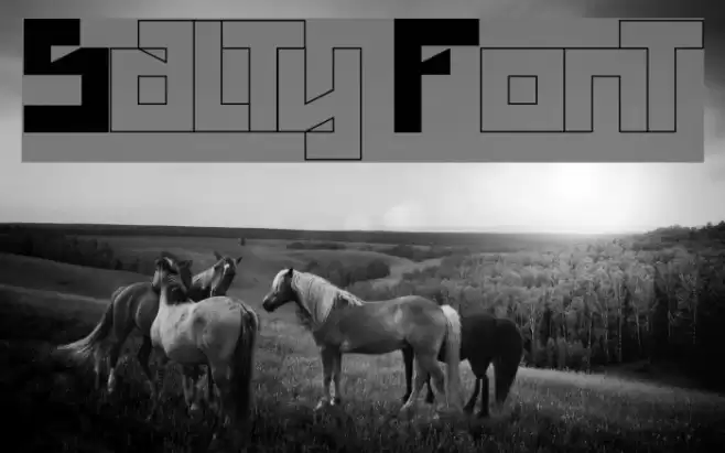Salty Font examples