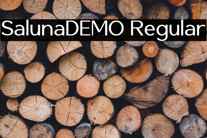 SalunaDEMO Regular Example 1