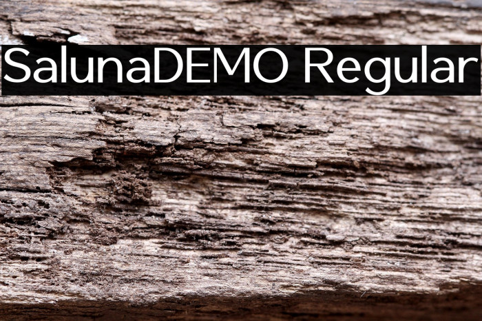 SalunaDEMO Regular Example 2