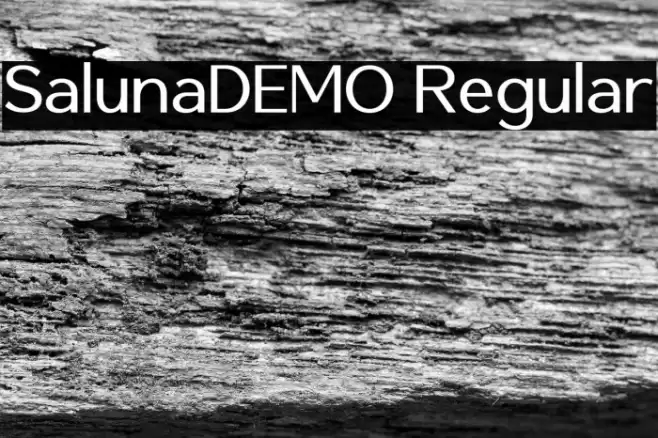 SalunaDEMO Regular Шрифта examples