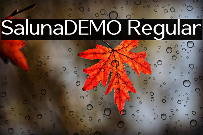 SalunaDEMO Regular Example 3