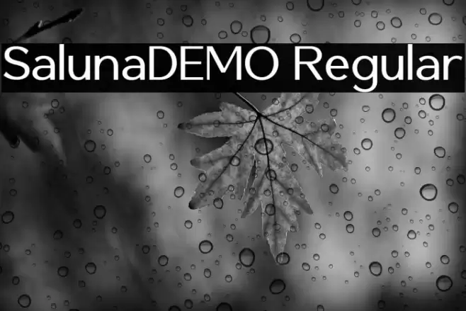 SalunaDEMO Regular Шрифта examples