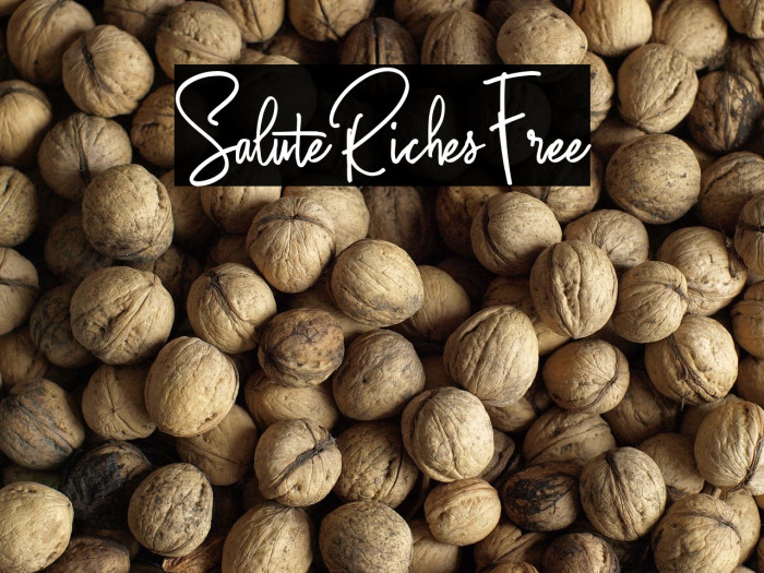 SaluteRichesFree Example 1