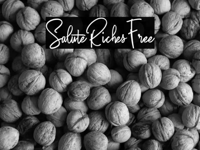SaluteRichesFree Font examples