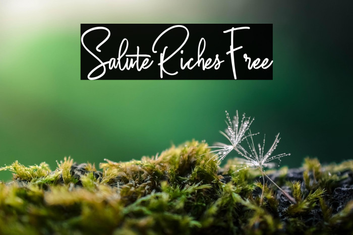 SaluteRichesFree Example 2