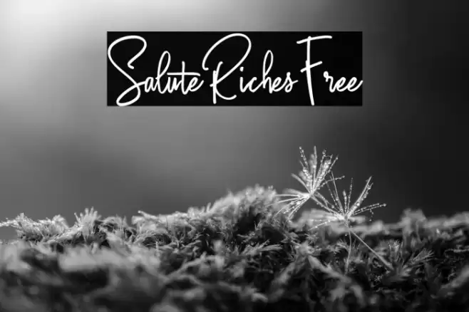 SaluteRichesFree Font examples