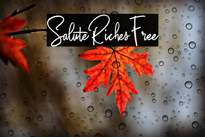 SaluteRichesFree Example 3