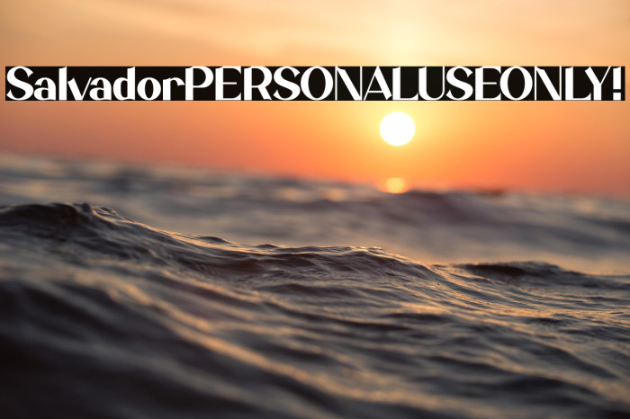 Salvador PERSONAL USE ONLY! Example 1