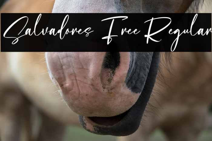 Salvadores Free Regular Example 1