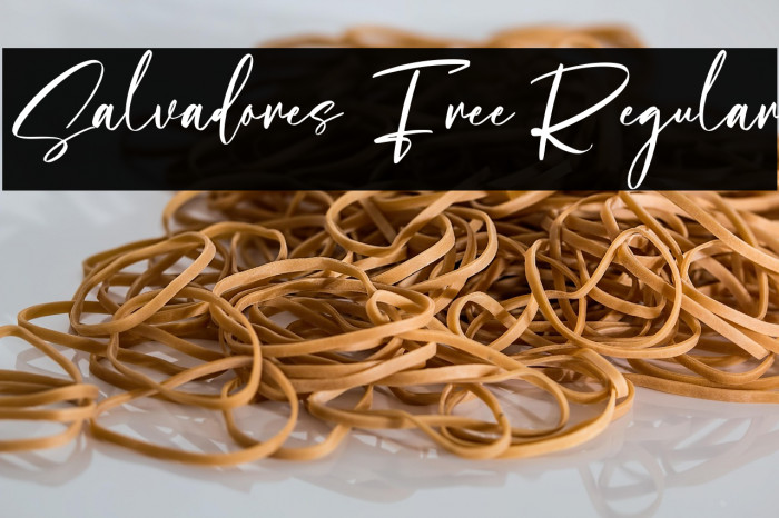 Salvadores Free Regular Example 2